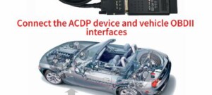 yanhua acdp with module 31 add bmw bdc via doip 1