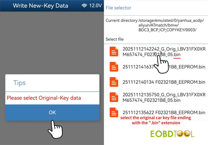 yanhua acdp2 copy bmw bdc3 key 8
